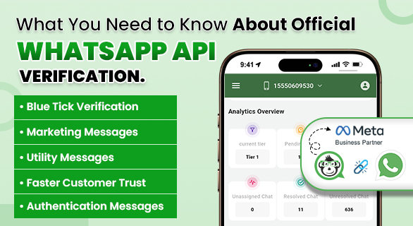 Official WhatsApp API verification process