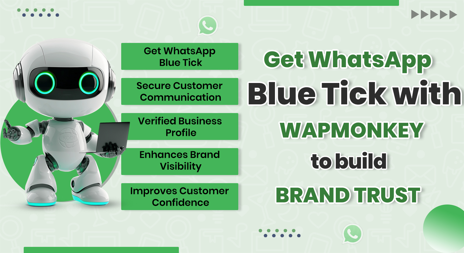 Official WhatsApp Blue Tick